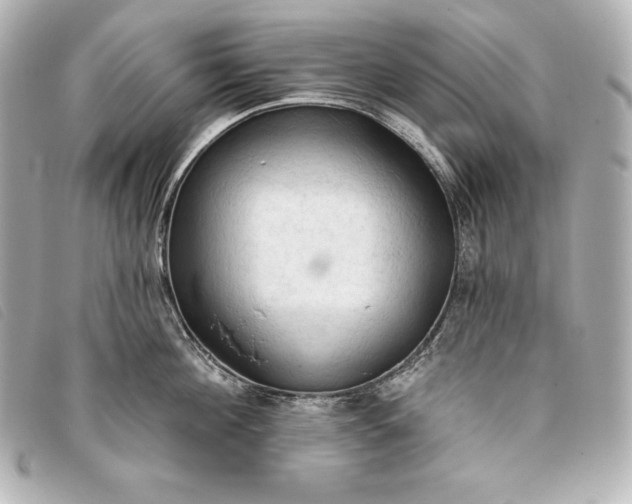 X0000093380908200710251214