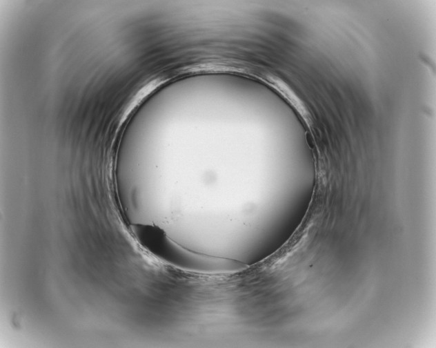 X0000093380909200710251214