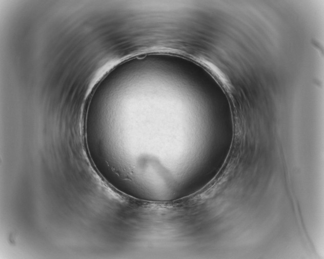 X0000093380910200710251214