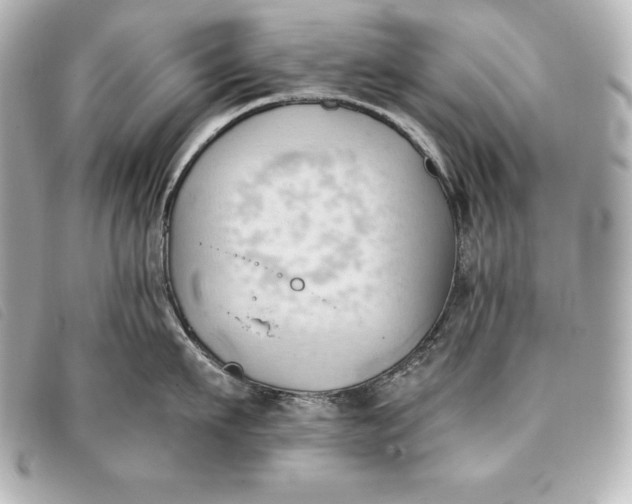 X0000093380911200710251214