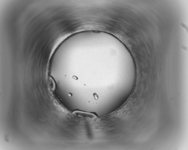 X0000093380912200710251214