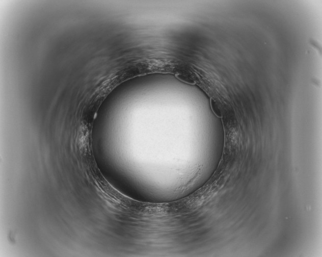 X0000093380914200710251213