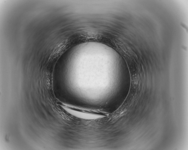 X0000093380916200710251213