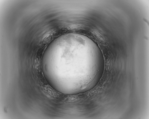 X0000093380917200710251213