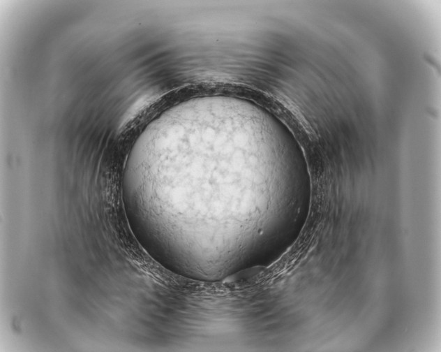 X0000093380919200710251213