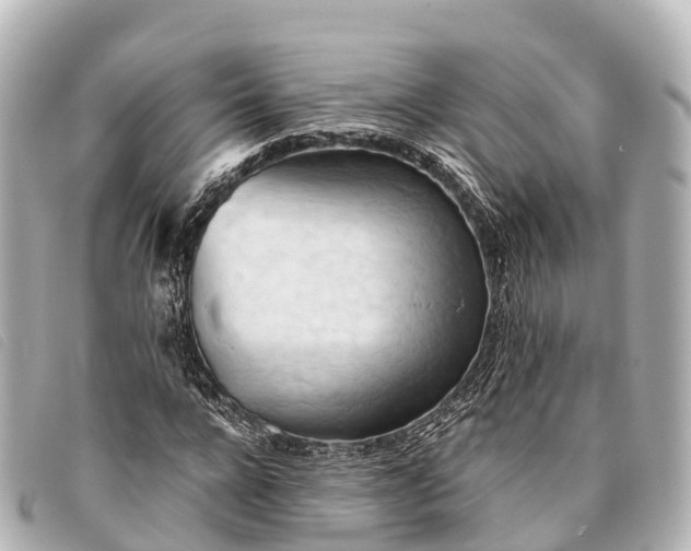 X0000093380920200710251213