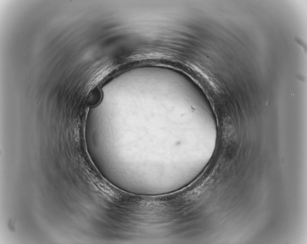 X0000093380921200710251213