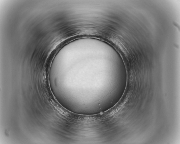 X0000093380923200710251213