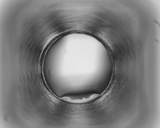 X0000093380924200710251213