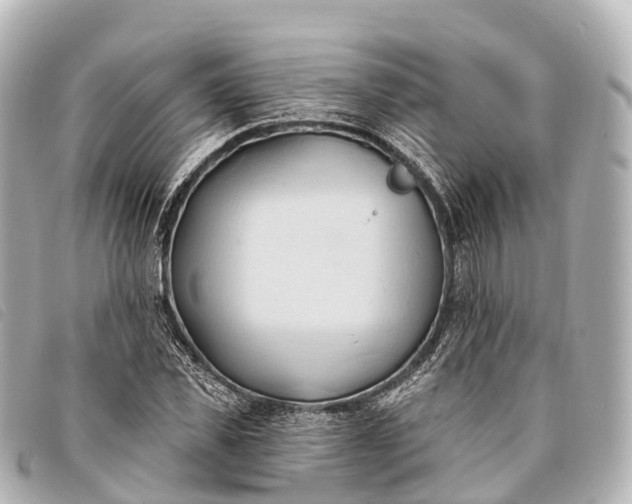 X0000093380925200710251213