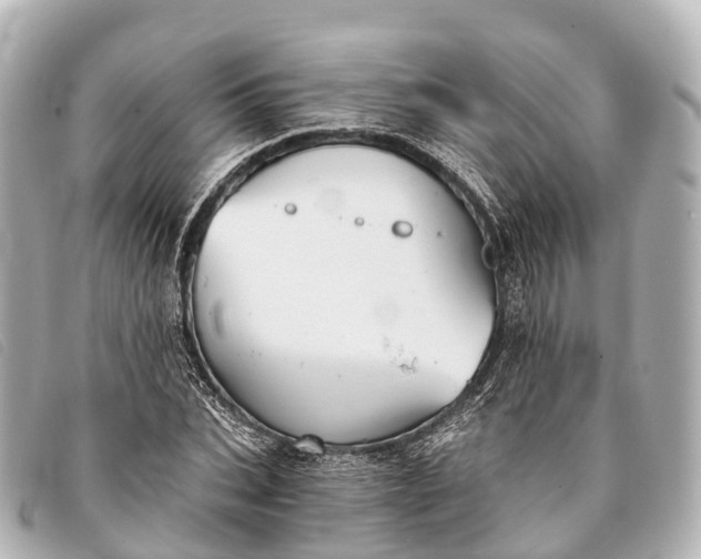 X0000093380927200710251213