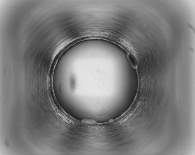 X0000093380928200710251213