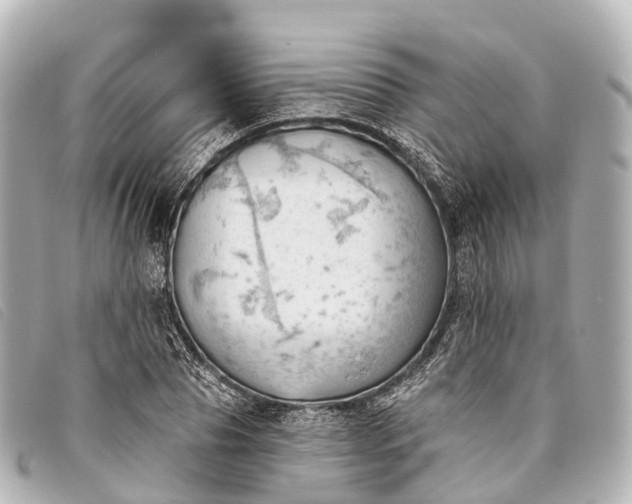 X0000093380929200710251213