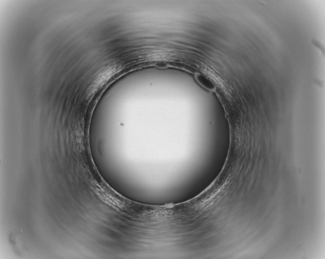 X0000093380930200710251213