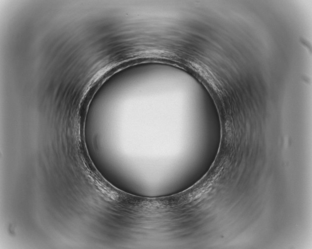 X0000093380931200710251213