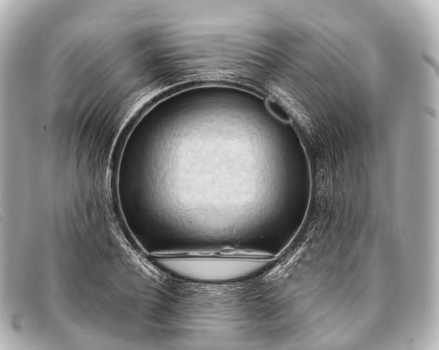 X0000093380932200710251213