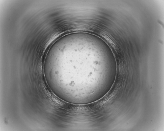 X0000093380933200710251213