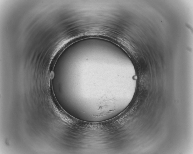 X0000093380934200710251213