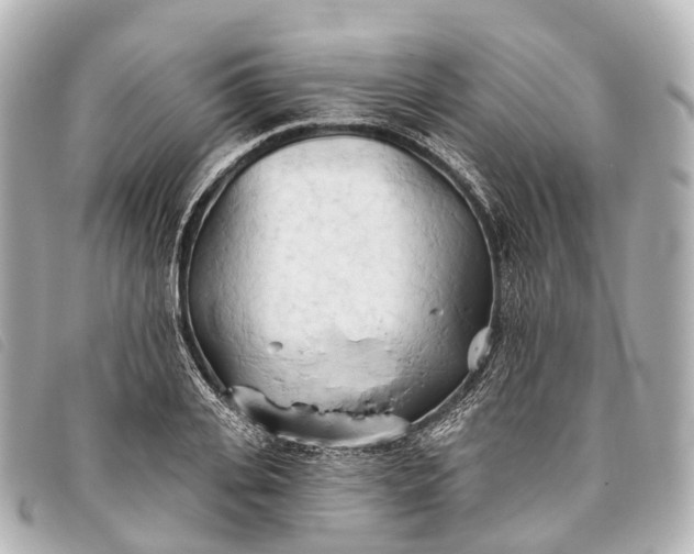 X0000093380935200710251213