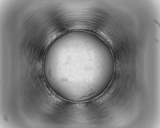 X0000093380937200710251213