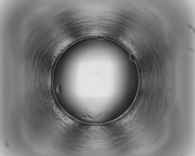 X0000093380938200710251213