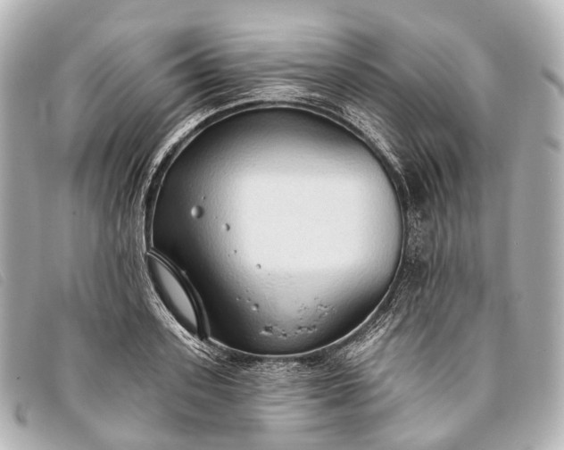 X0000093380939200710251213