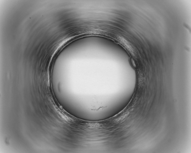 X0000093380940200710251213