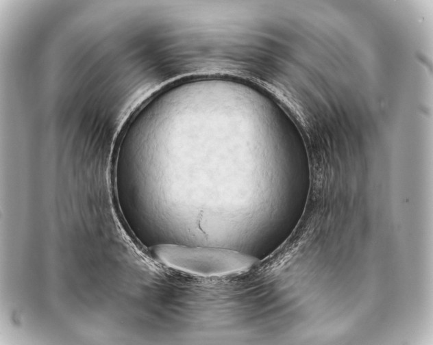 X0000093380943200710251213