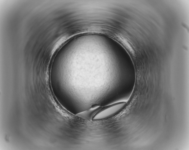 X0000093380944200710251213