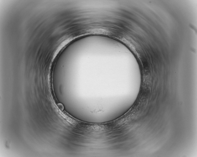 X0000093380947200710251213