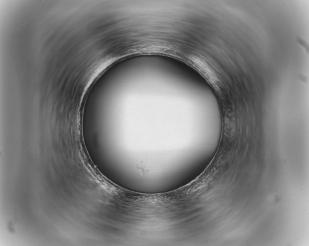 X0000093380948200710251213