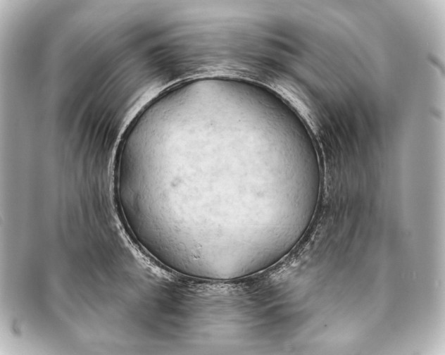 X0000093380949200710251213