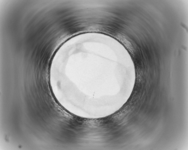 X0000093380950200710251213