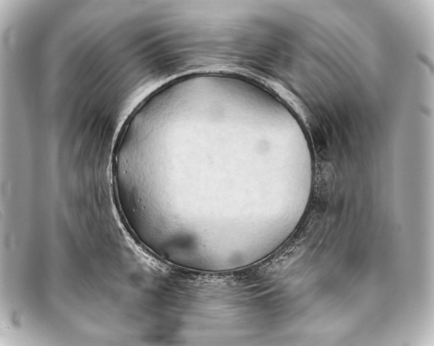 X0000093380951200710251213