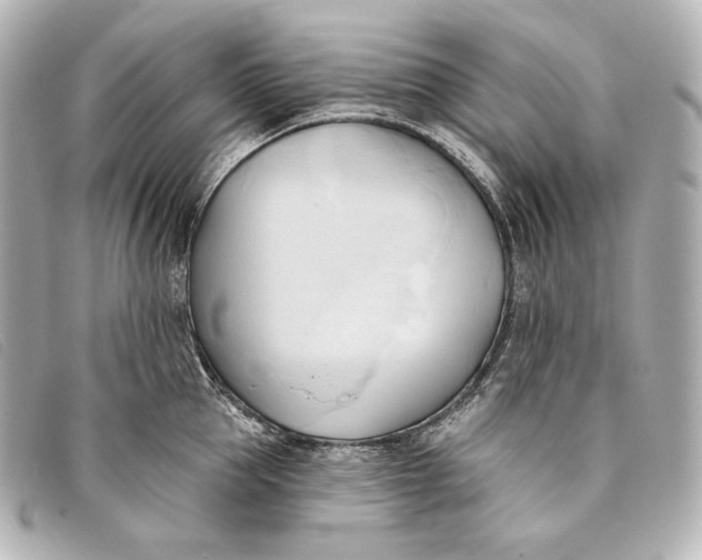 X0000093380953200710251213