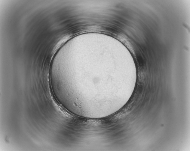 X0000093380954200710251214