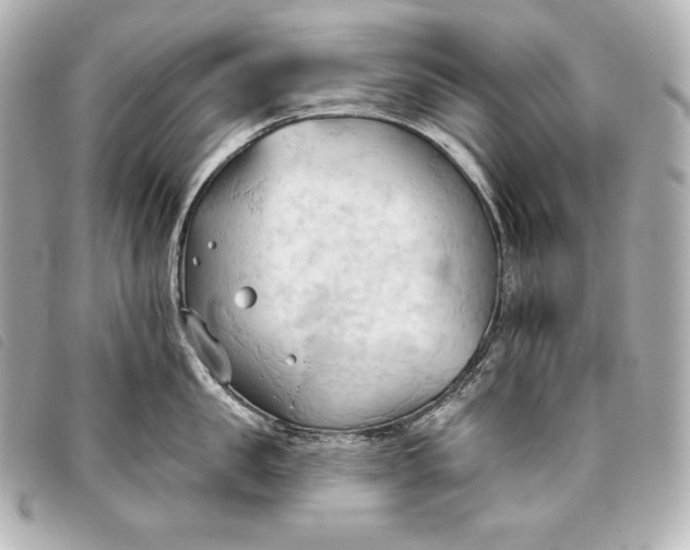 X0000093380957200710251214