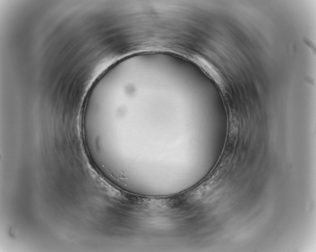 X0000093380958200710251214