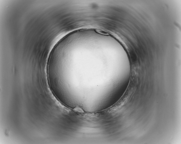 X0000093380959200710251214