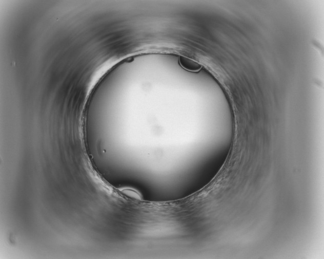 X0000093380960200710251214