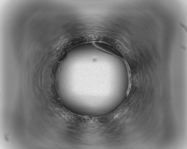 X0000093380961200710251213