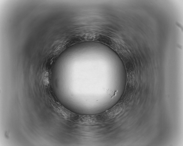 X0000093380962200710251213