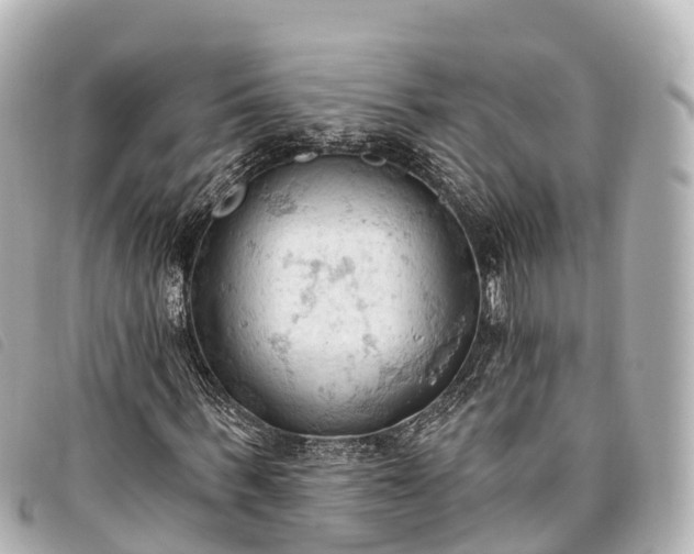 X0000093380963200710251213