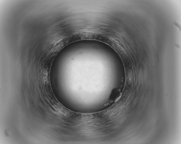 X0000093380964200710251213