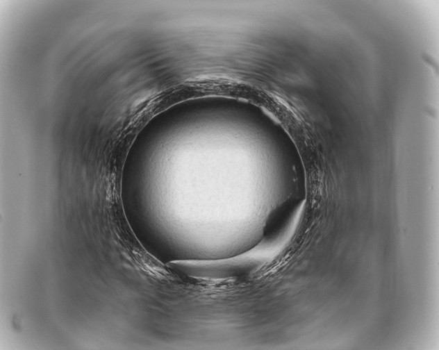 X0000093380965200710251213