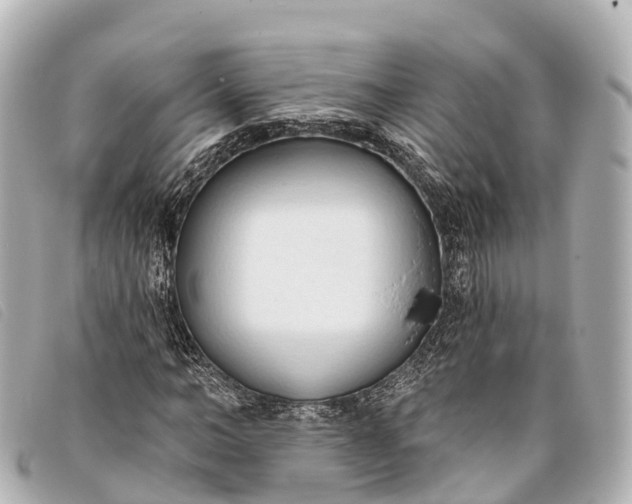 X0000093380966200710251213