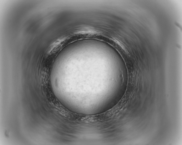 X0000093380967200710251213