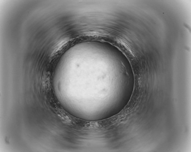 X0000093380968200710251213