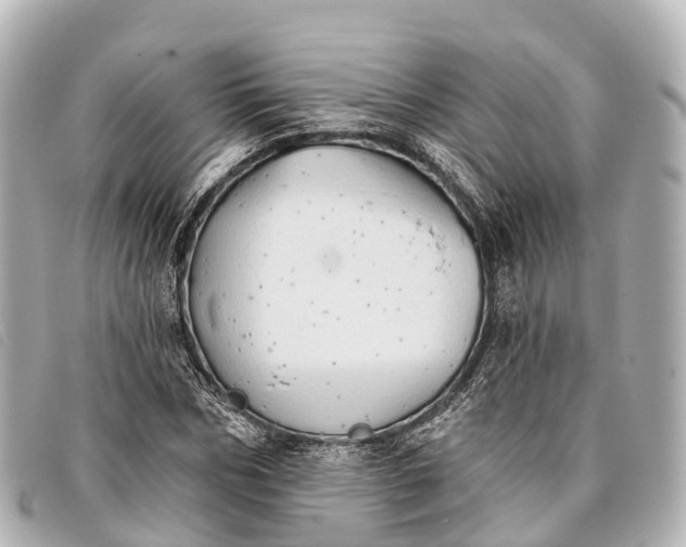 X0000093380970200710251213