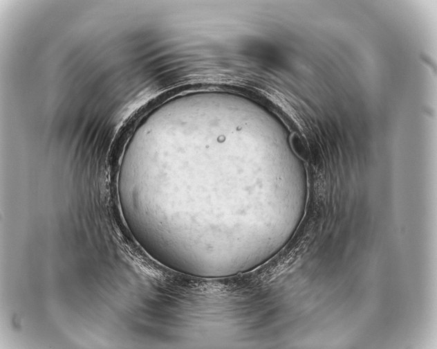 X0000093380971200710251213